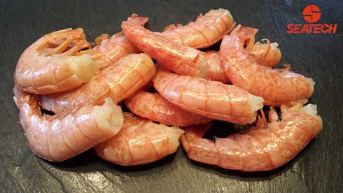 A photograph of EZ peel Argentine red shrimp.