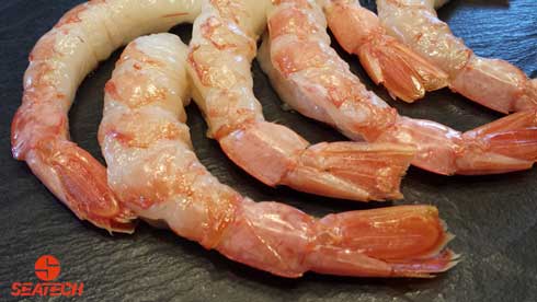 A photograph of peeled tail on Argentine red shrimp.