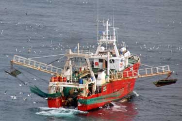 A photograph of a Argentine red shrimp fishing vessel with its booms out getting ready to launch its nets.